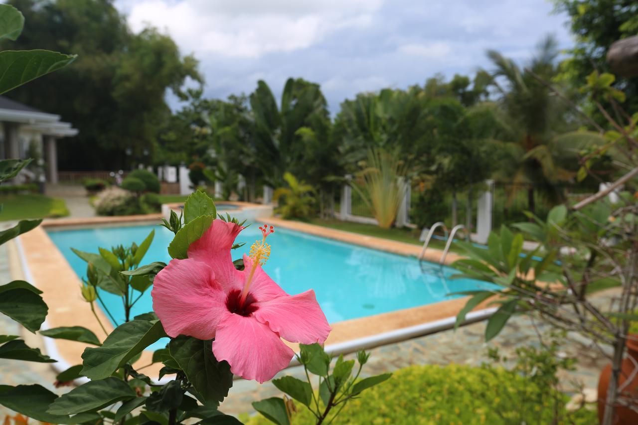 Garden Bungalows Resort Сикиджор Екстериор снимка